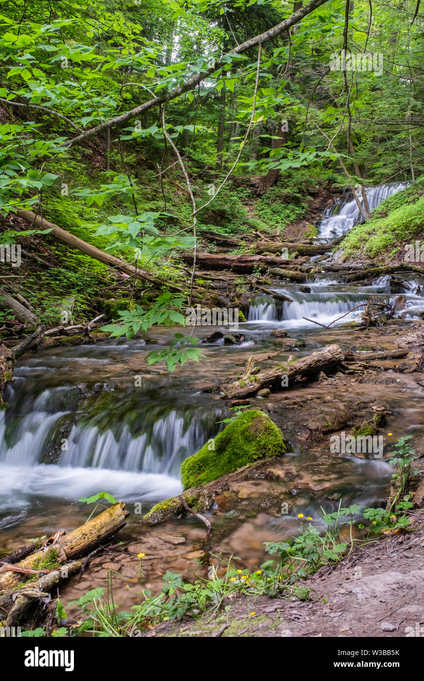 L'eau serpente à travers bois, rochers et vers le bas trois petites chutes de tisserands Creek, près de Owen Sound (Ontario). Banque D'Images