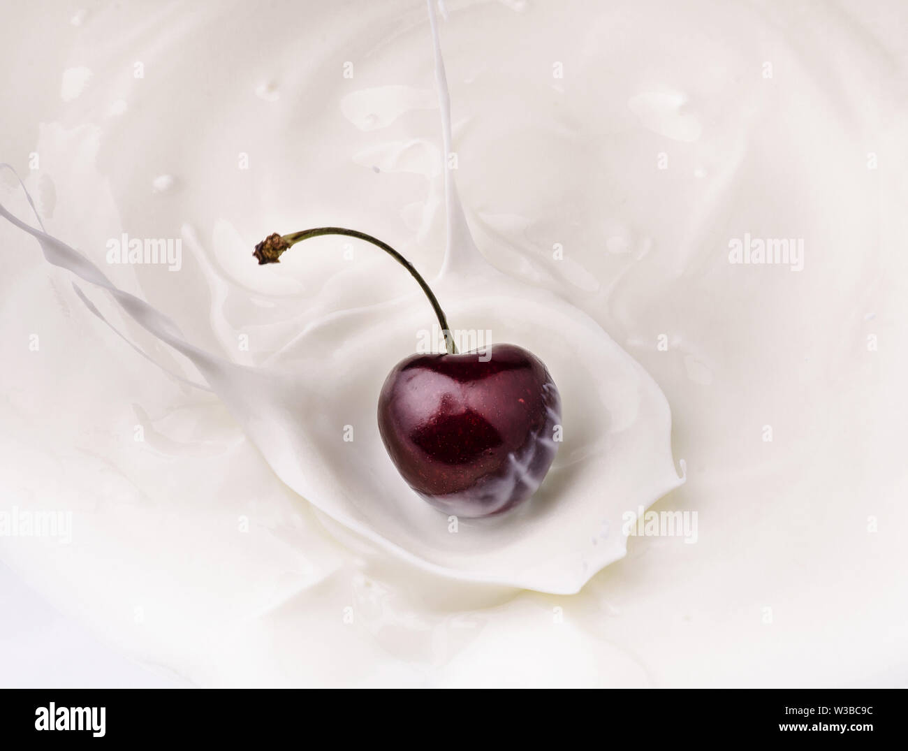 Une belle cherry falls dans le bol de yaourt frais avec splash Banque D'Images