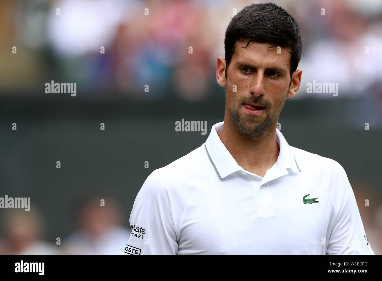 Londres, Royaume-Uni. 14 juillet 2019. Tournoi de tennis de Wimbledon, jour 13 ; Novak Djokovic (SER) après avoir remporté 1 dans sa correspondance avec Roger Federer (SUI) : Action de Crédit Plus Sport Images/Alamy Live News Banque D'Images