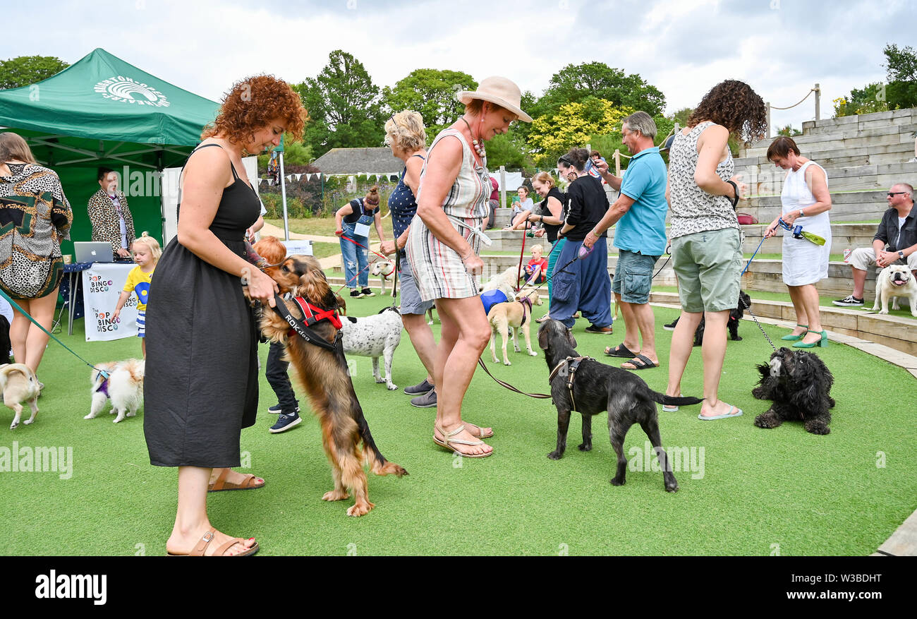 Brighton UK 14 Juillet 2019 - Les chiens et leurs propriétaires obtenir vers le bas pour un mélange de danser en discothèque et un jeu de bingo qu'ils prennent part à la première mondiale de la Pop Disco Bingo Doggy show qui a eu lieu au Théâtre de plein air de Brighton aujourd'hui. Crédit : Simon Dack / Alamy Live News Banque D'Images