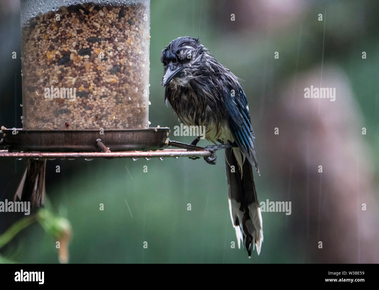 Sur la jante Banque D'Images