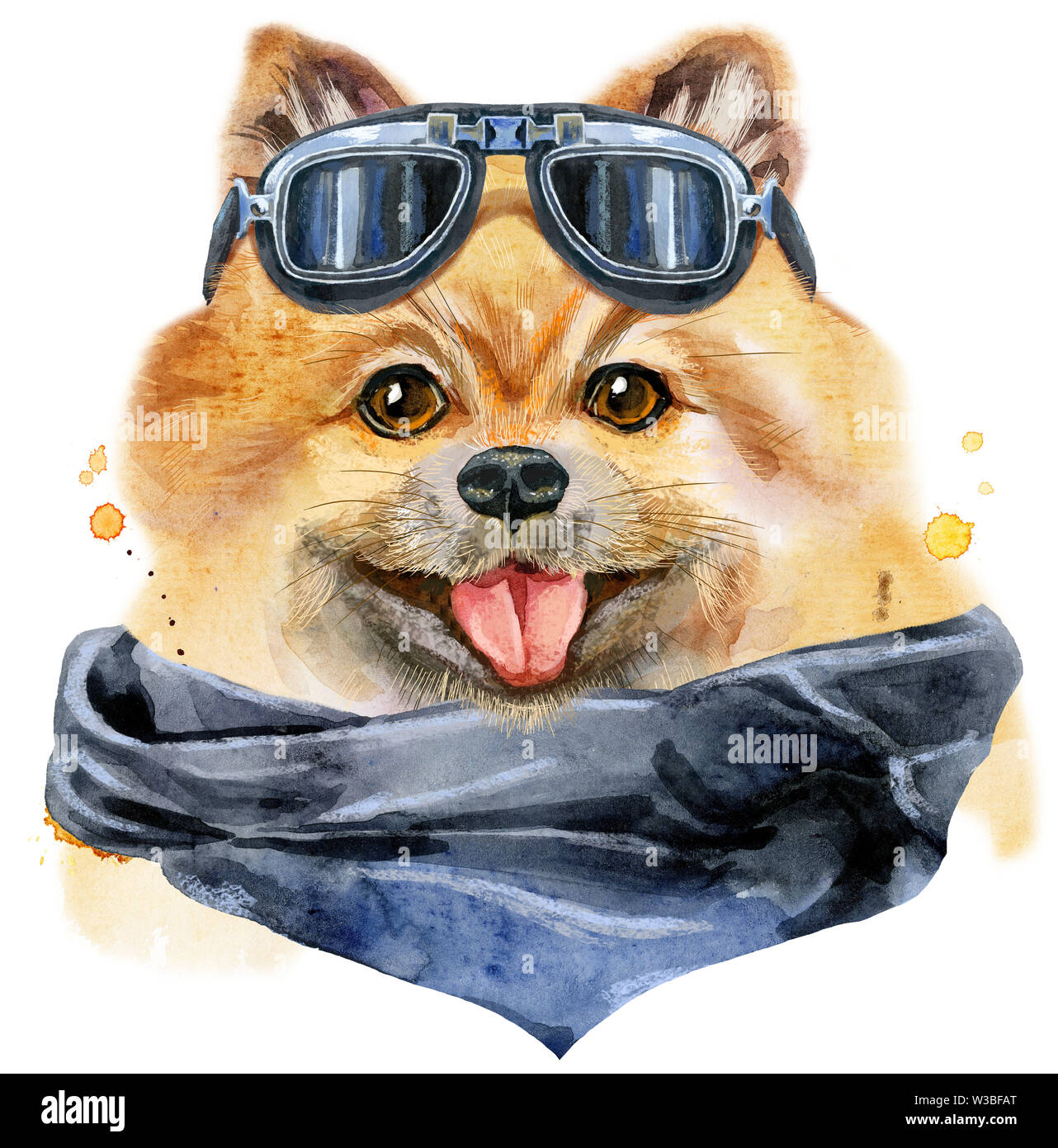 Aquarelle portrait de chien spitz pomeranian avec lunettes biker Banque D'Images