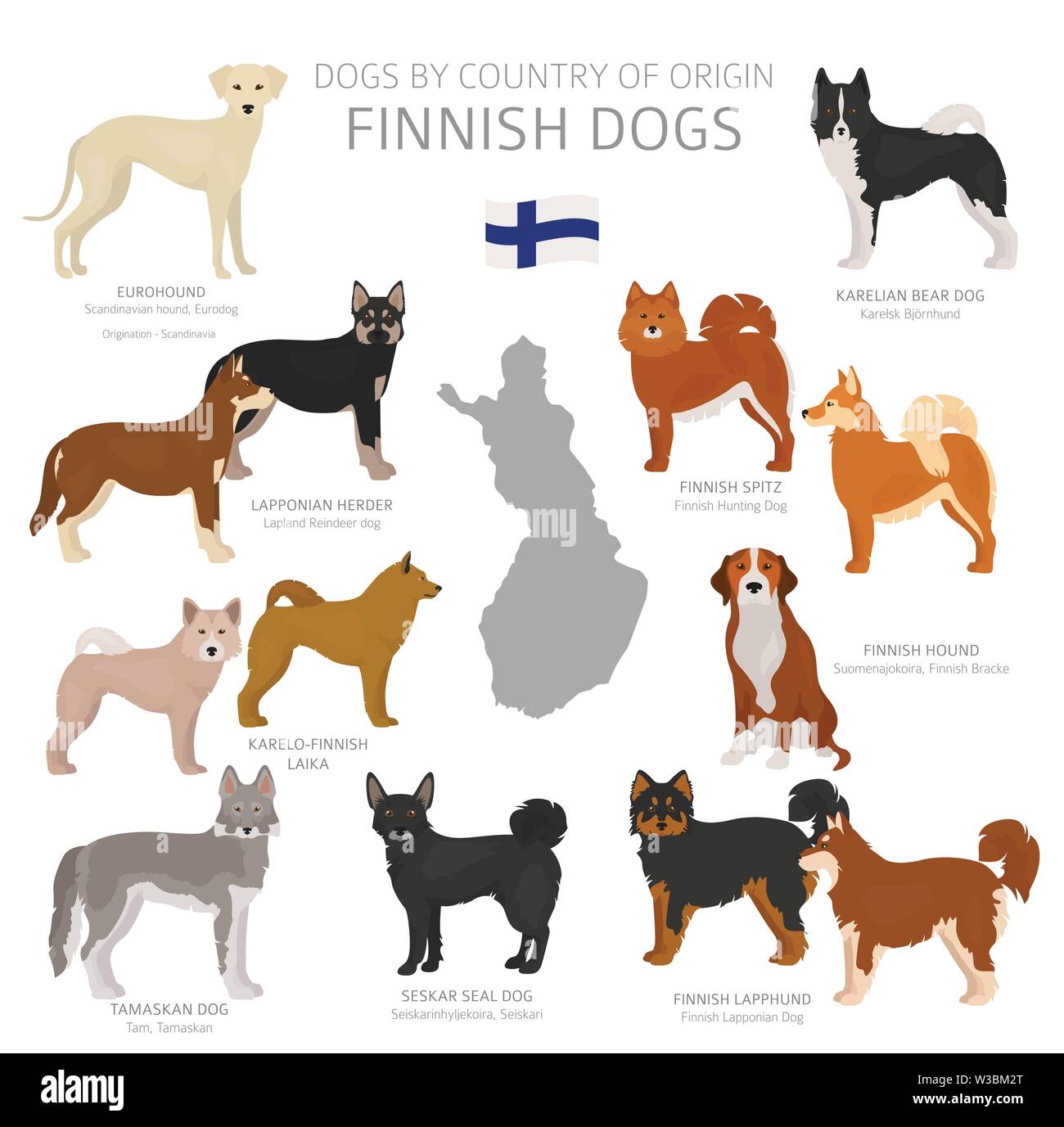 Chiens Par Pays Dorigine Finnish Races De Chien Bergers
