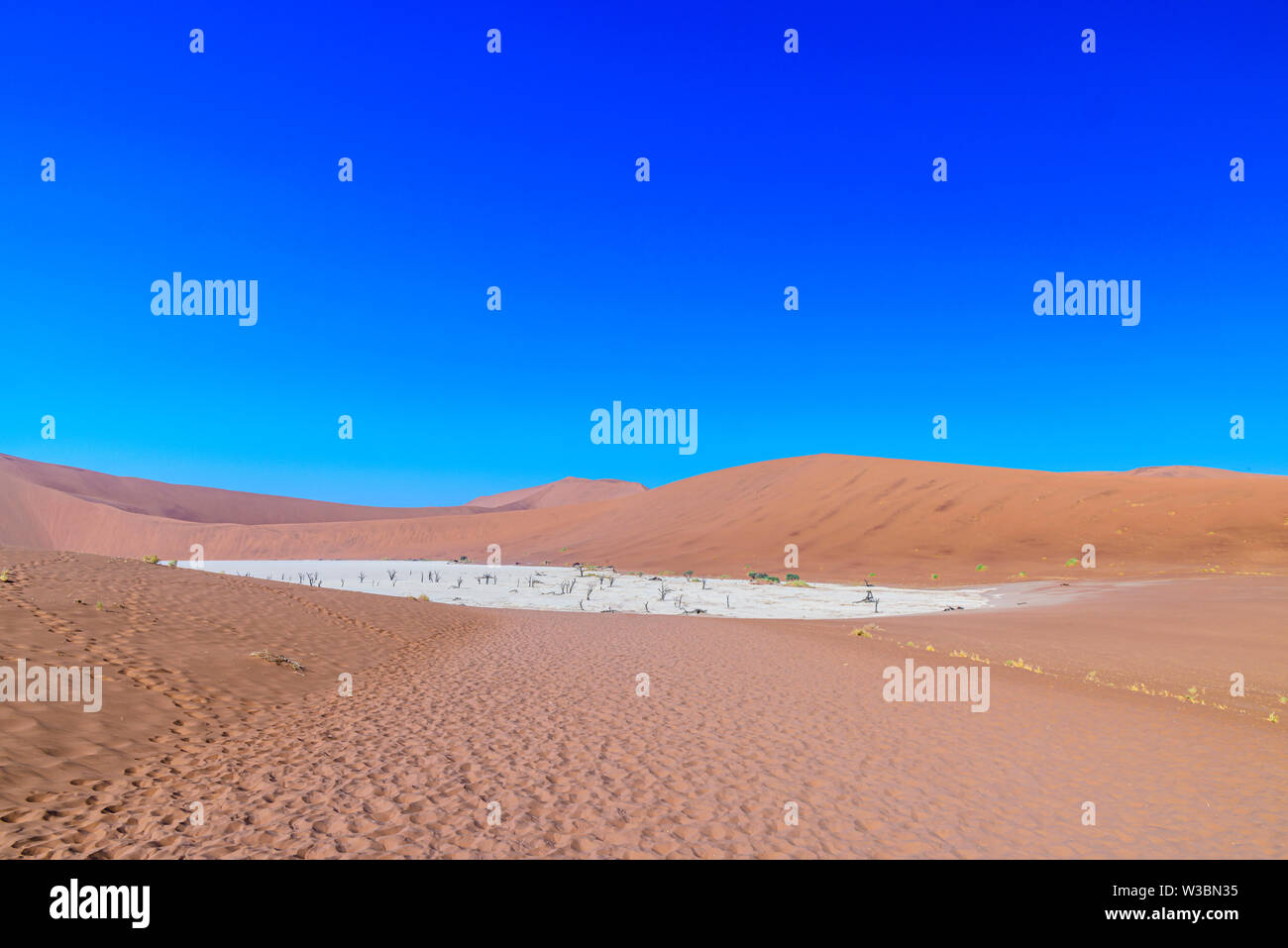 Donnant sur l'argile de pan, à Deadvlei Soussusvlei, Namibie Banque D'Images