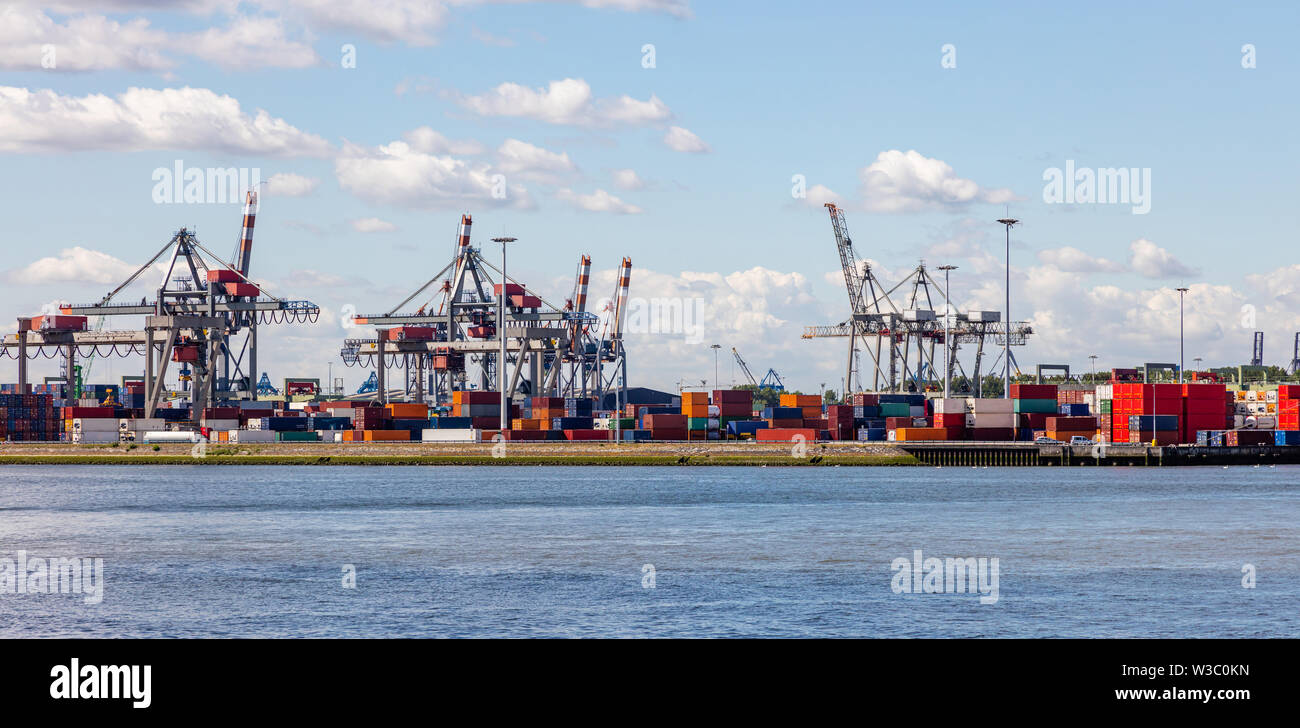 L'entreprise de logistique. D'énormes grues et containers, journée ensoleillée, port International de Rotterdam, Pays-Bas Banque D'Images