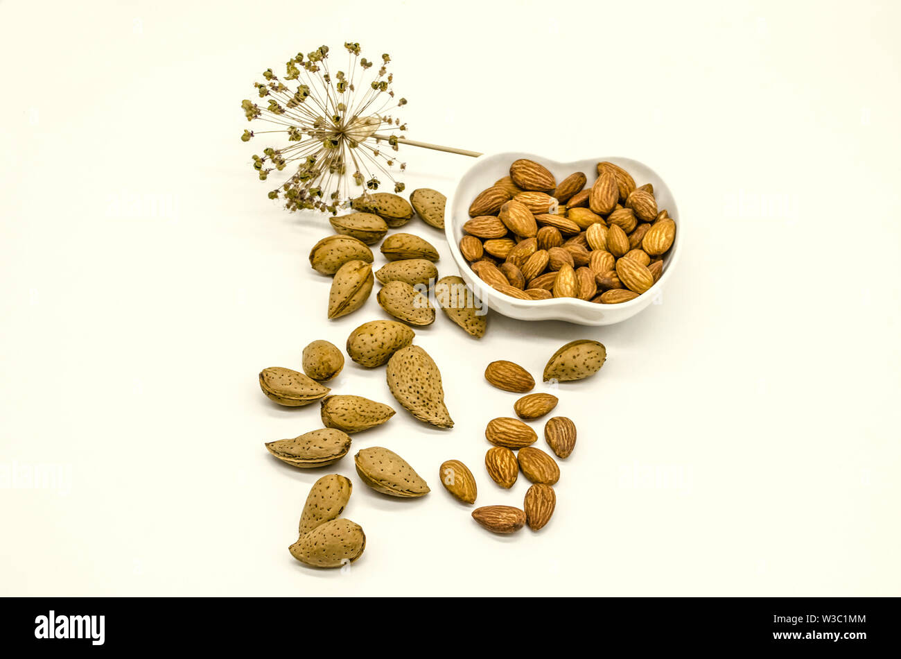 Fond blanc avec des graines comestibles non transformés et amandes amandes pelées dans Bol en porcelaine blanche à côté de fleurs sèches Banque D'Images