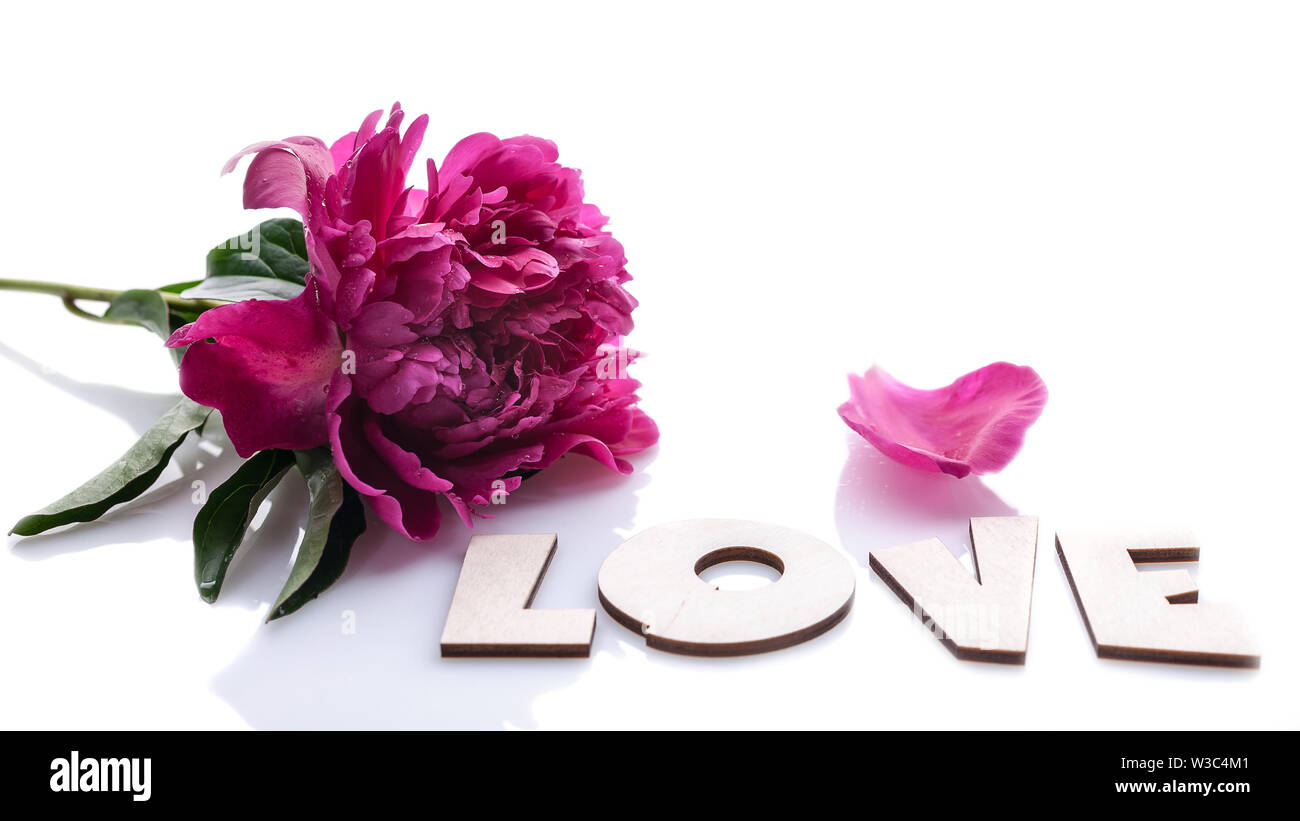 Bannière horizontale : grande pivoine et mot amour isolé sur fond blanc. Composition romantique Banque D'Images