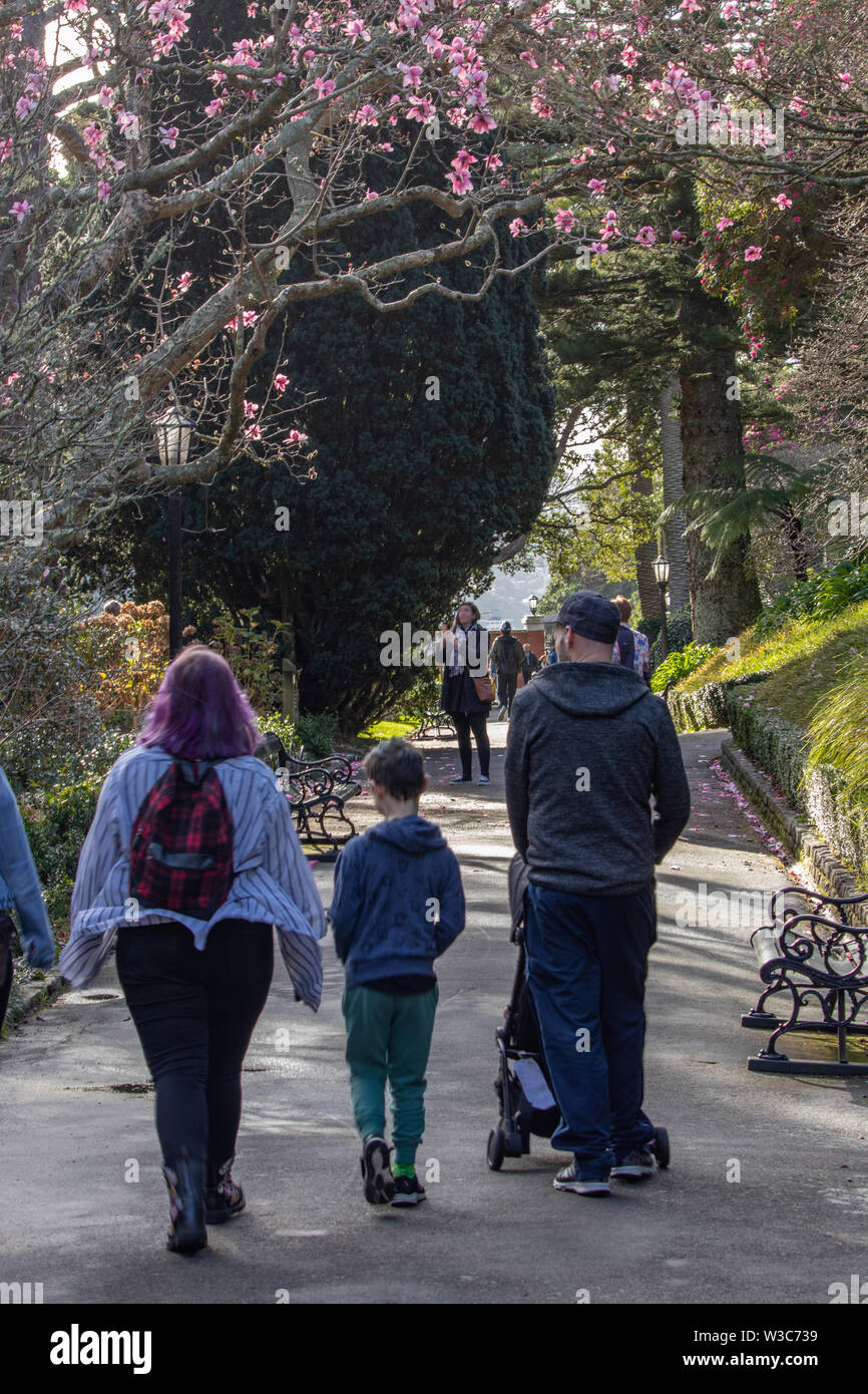 Les promeneurs dans les jardins botaniques, Wellington, Nouvelle-Zélande Banque D'Images