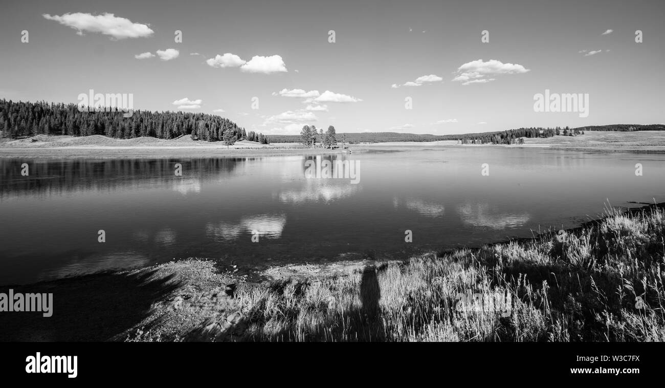 Image en noir et blanc, reflets du lac, le Parc National de Yellowstone, Wyoming Banque D'Images