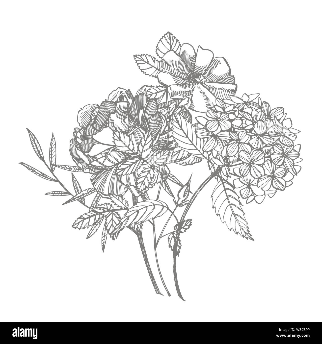 Bouquet. Les fleurs du printemps et de brindilles. Les Pivoines, Hortensia, Rose. Vintage illustration botanique. Le noir et blanc ensemble d'encombrement barbeaux, floral elemen Banque D'Images