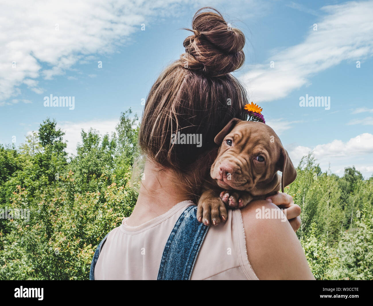 Chiot, couché sur l'épaule d'une femme Banque D'Images