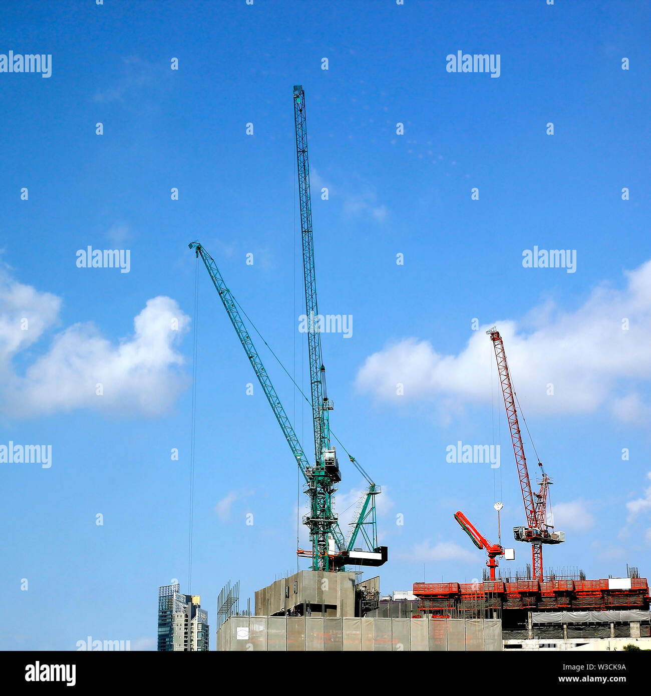 Photo de groupe de crane contre le ciel bleu Banque D'Images