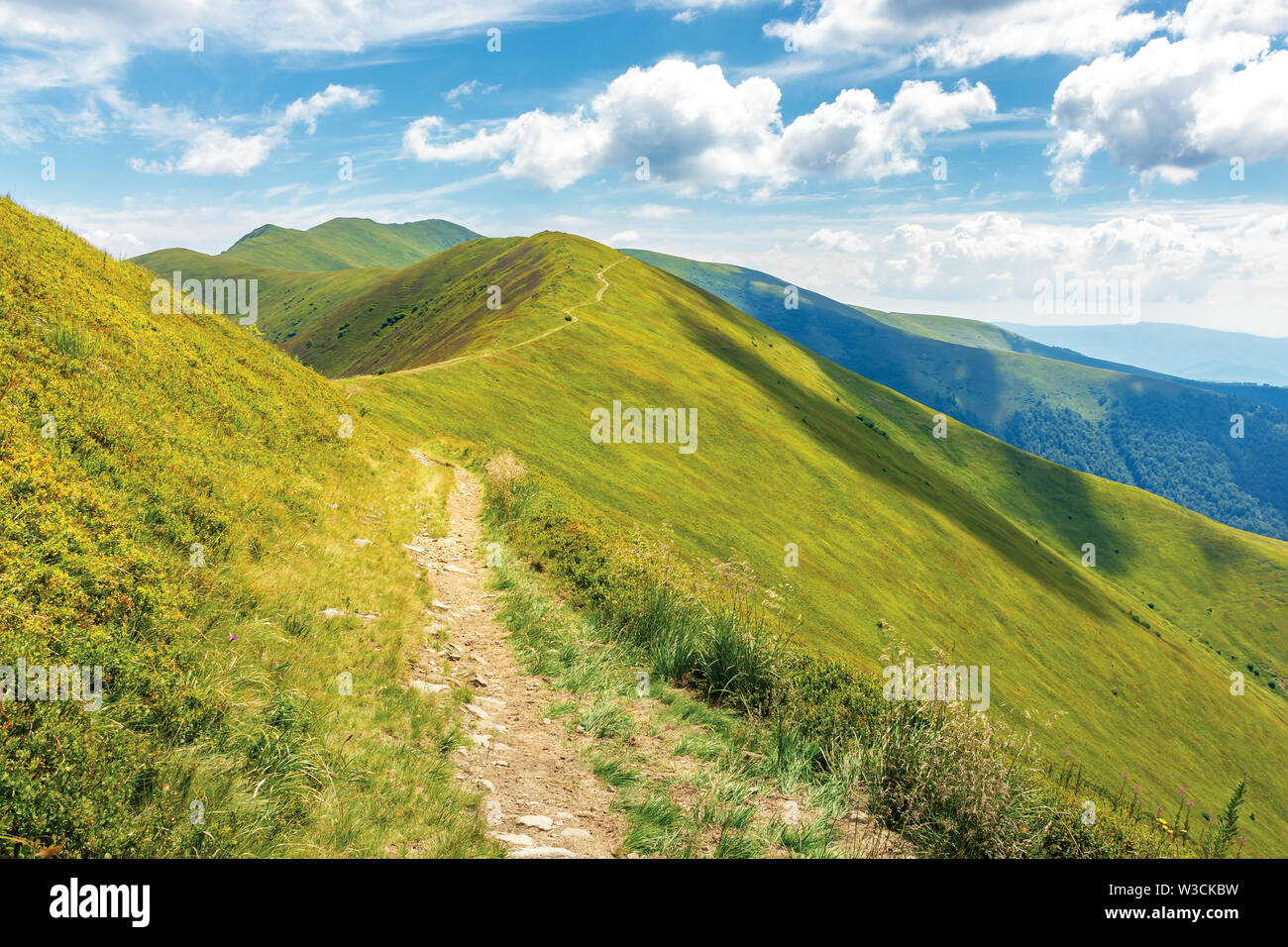 Chemin de Traverse par de montagnes. beau paysage d'été en plein midi. vert alpin de collines herbeuses blueberry européenne. beau temps, fluffy Banque D'Images