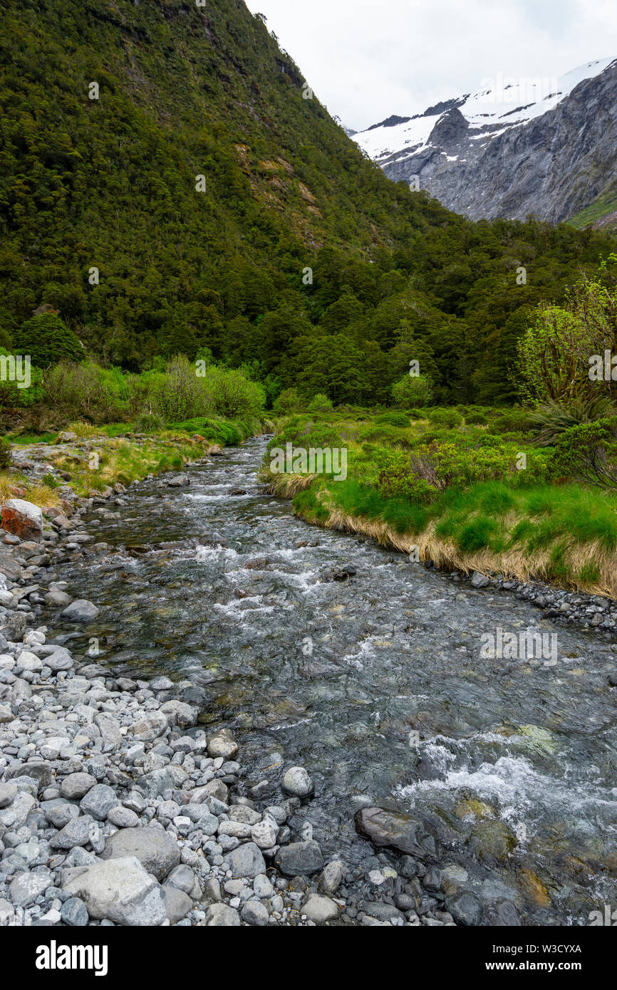 Nourris de Glacier Creek longe la route de Milford Sound dans la Hollyford Valley. Fiordland, île du Sud, Nouvelle-Zélande Banque D'Images