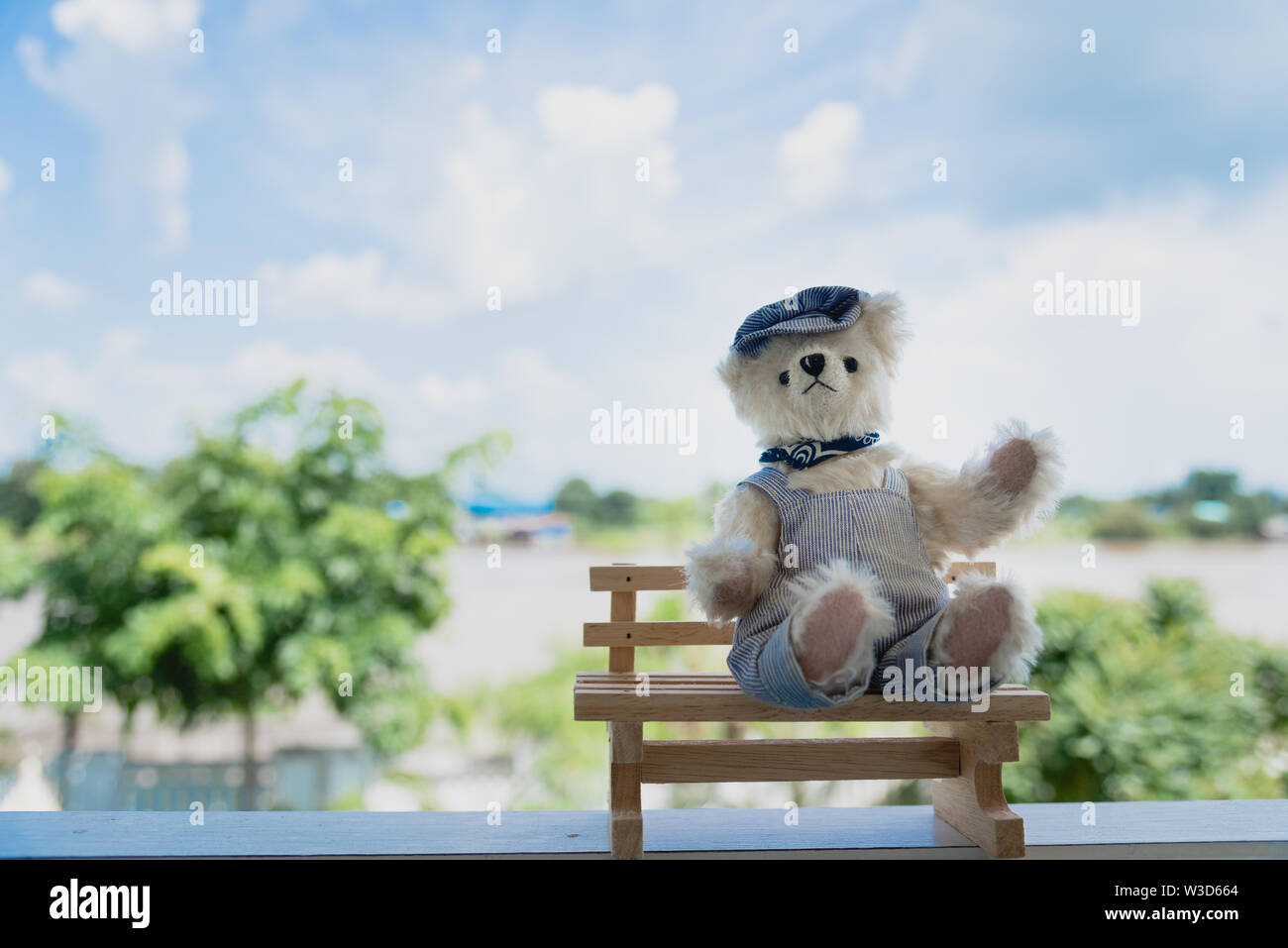 Photo extérieur dynamique de l'ours en peluche assis sur le chantier au parc avec la fleur blanche et verte de l'herbe Banque D'Images