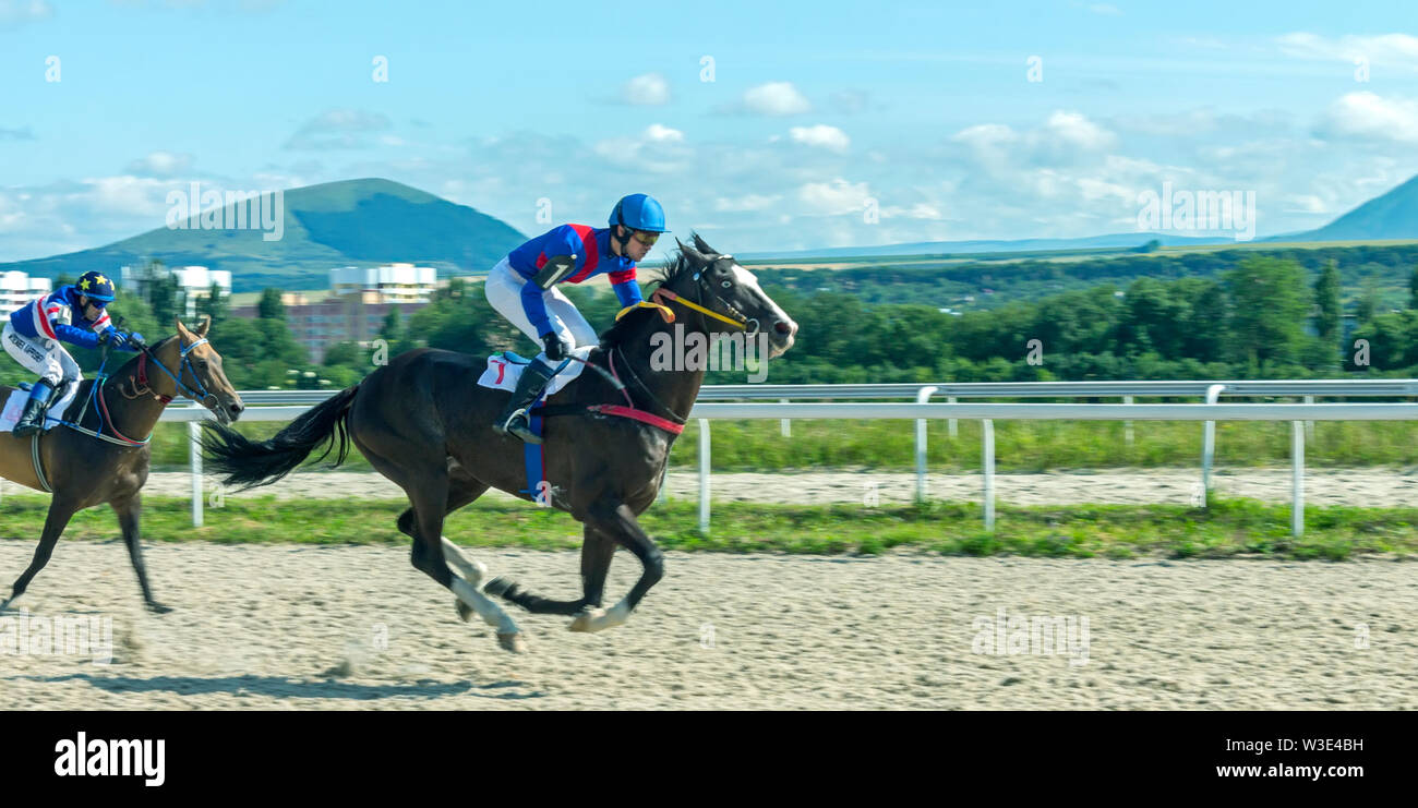 Course de chevaux à Pyatigorsk, Caucase du Nord, la Russie. Banque D'Images
