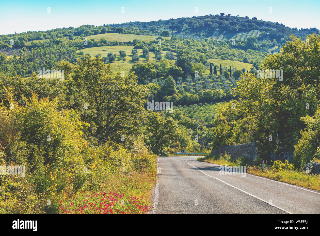 Beau paysage, printemps nature. La route entre les champs ensoleillés en Toscane, Italie Banque D'Images