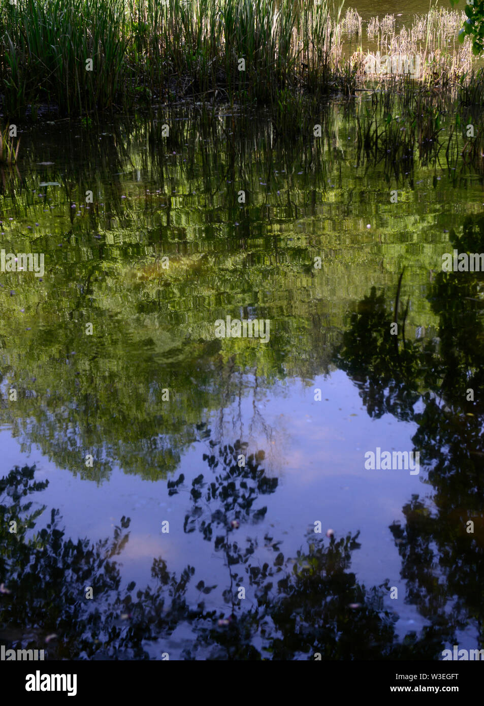 Réflexions sur Mill River. New Haven, CT. Banque D'Images