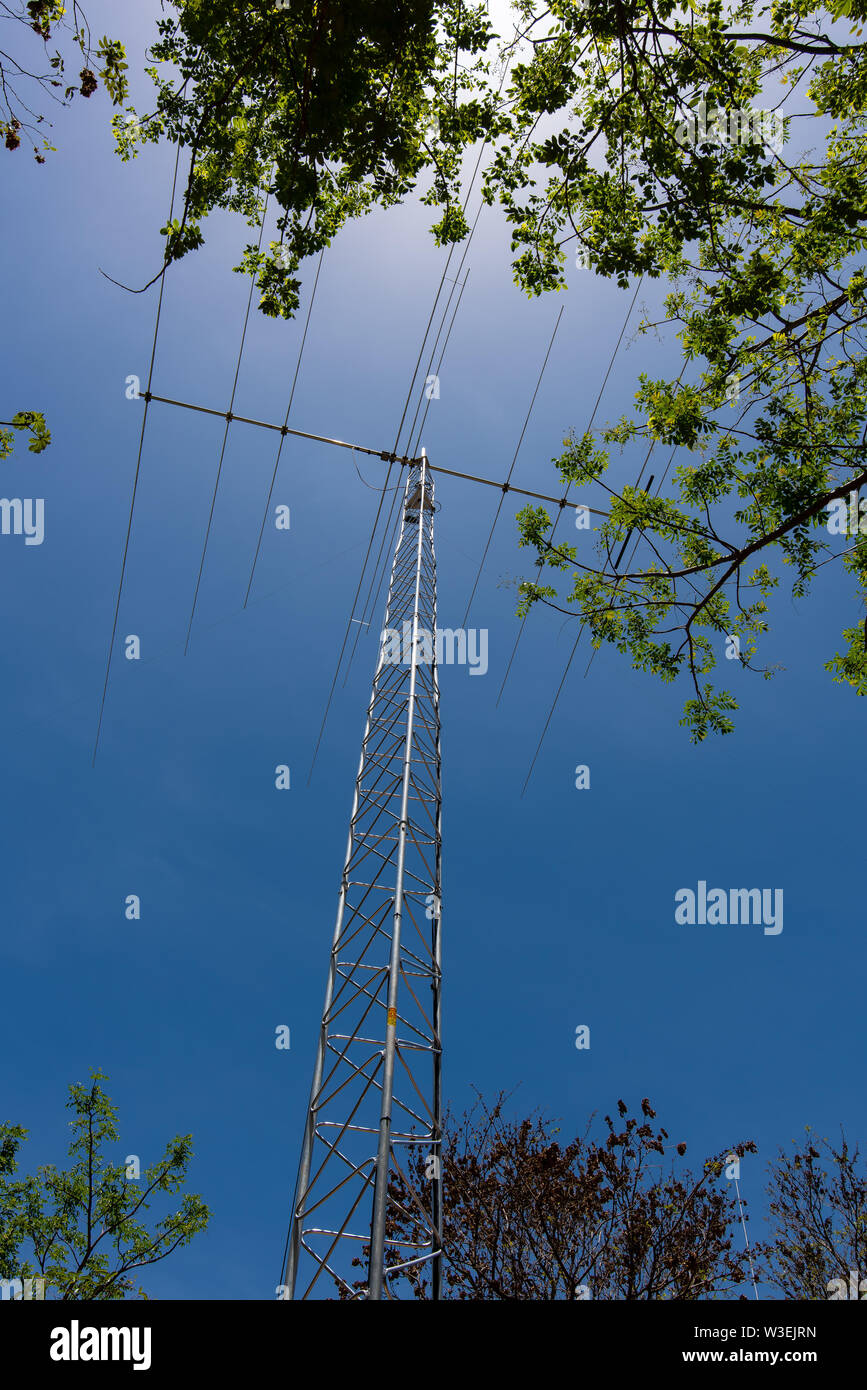 Tour de communications radio amateur au-dessus de la ligne des arbres Banque D'Images