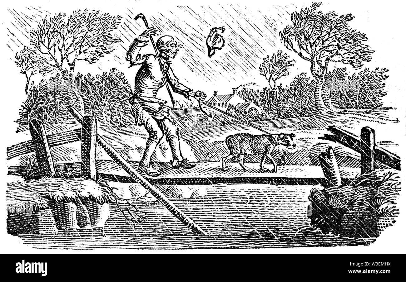 Cordier pastorale. Couper du bois gravé, illustration tirée de 'Thomas Bewick 'une Histoire générale de quadrupèdes", publié par T. Bewick, Longman et C Banque D'Images