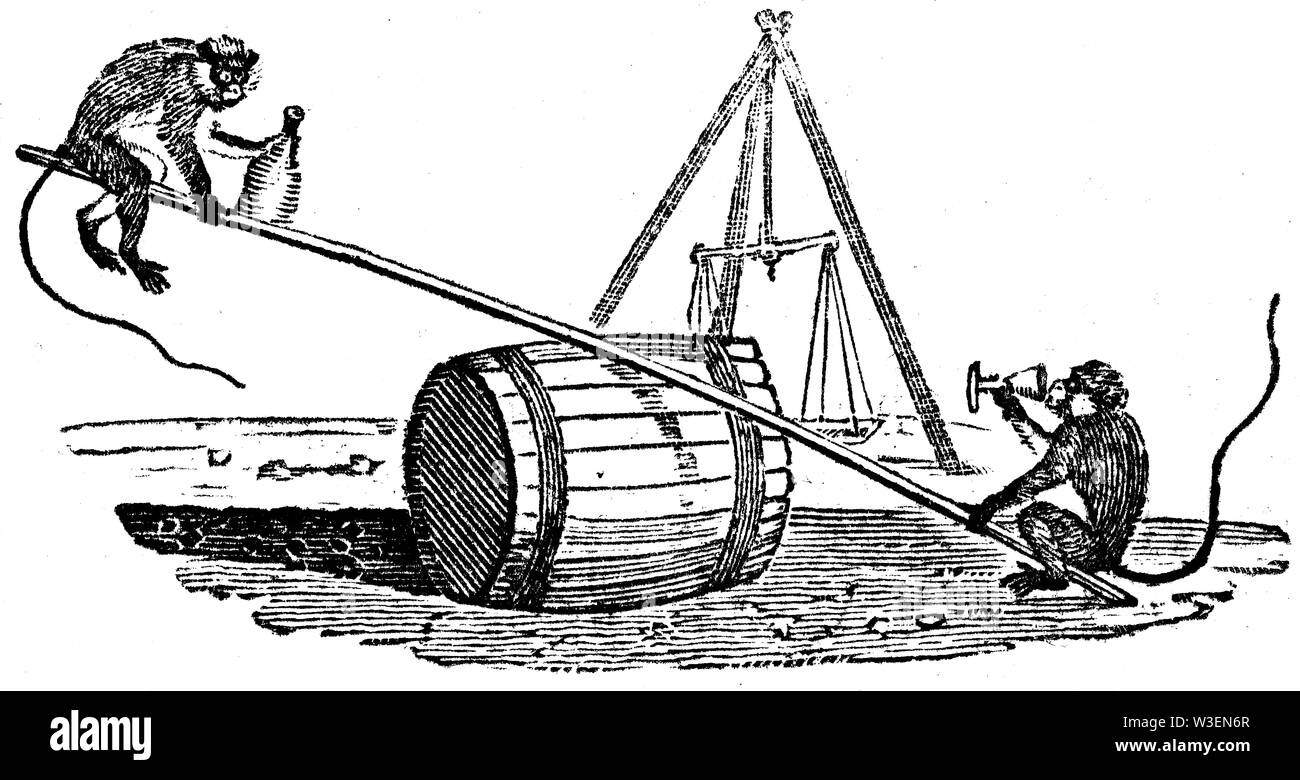 Cordier pastorale. Couper du bois gravé, illustration tirée de 'Thomas Bewick 'une Histoire générale de quadrupèdes", publié par T. Bewick, Longman et C Banque D'Images