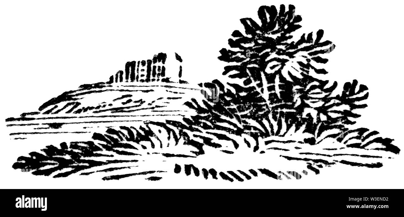 Coupe de bois gravés d'illustration ; prises de 'Thomas Bewick 'une Histoire générale de quadrupèdes' ; publié par T ; ; Bewick Longman et Co ; Imprimé par Edward Banque D'Images