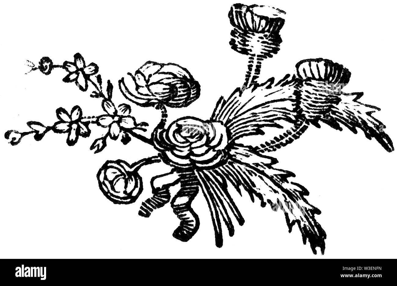 Coupe de bois gravés d'illustration ; prises de 'Thomas Bewick 'une Histoire générale de quadrupèdes' ; publié par T ; ; Bewick Longman et Co ; Imprimé par Edward Banque D'Images
