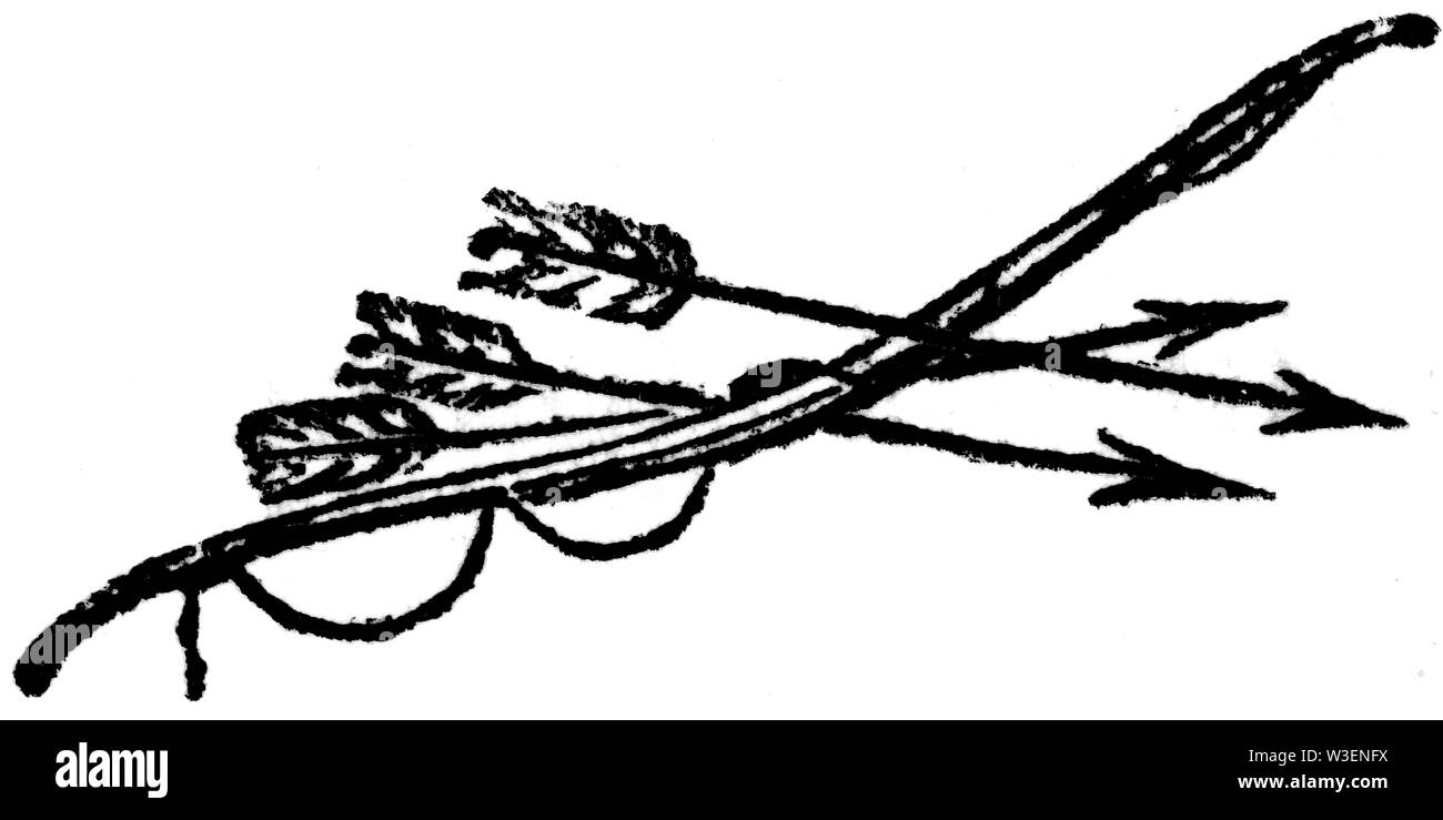 Coupe de bois gravés d'illustration ; prises de 'Thomas Bewick 'une Histoire générale de quadrupèdes' ; publié par T ; ; Bewick Longman et Co ; Imprimé par Edward Banque D'Images