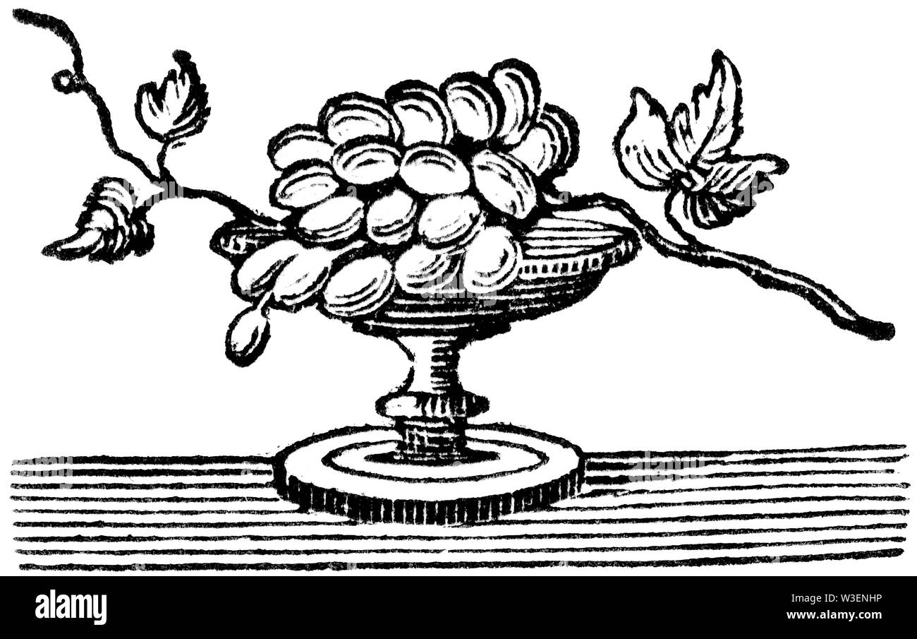 Coupe de bois gravés d'illustration ; prises de 'Thomas Bewick 'une Histoire générale de quadrupèdes' ; publié par T ; ; Bewick Longman et Co ; Imprimé par Edward Banque D'Images