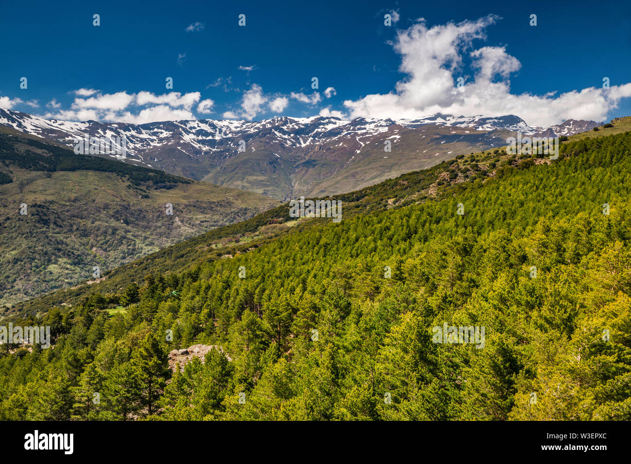 Massif de la Sierra Nevada, Barranco de Poqueira ravin, de Mirador Tajos del Angel, le Parc National de la Sierra Nevada, Las Alpujarras, Grenade, Andalousie Espagne Banque D'Images