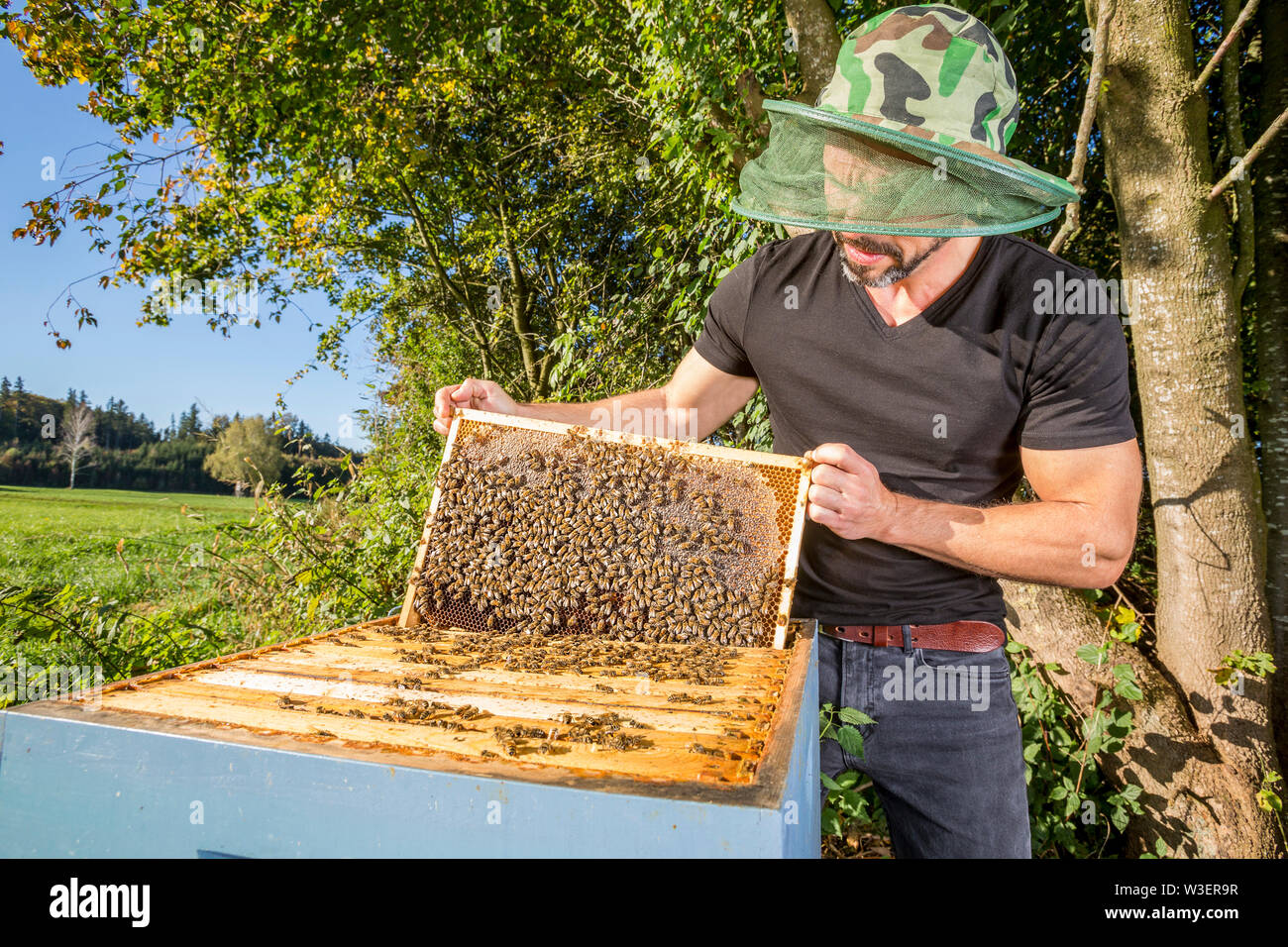 Portrait d'homme beekeper avec hive Banque D'Images