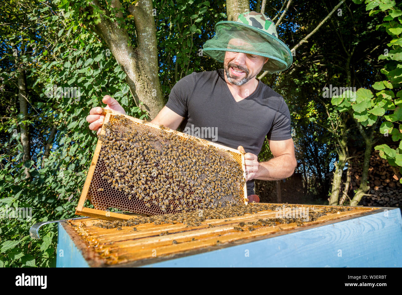 Portrait d'homme beekeper avec hive Banque D'Images