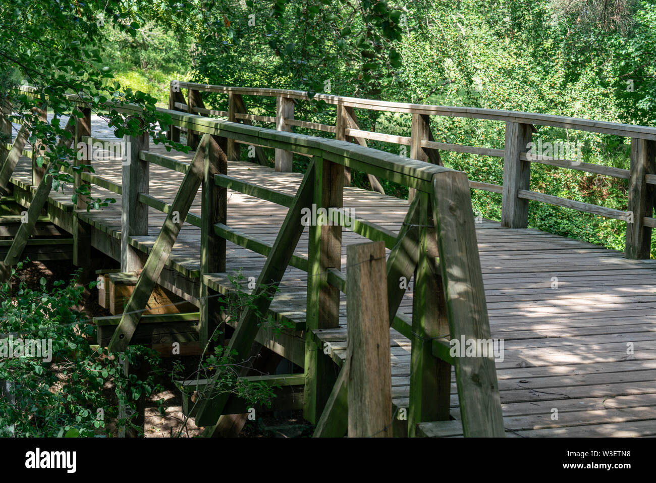 Pont piétonnier en bois pittoresque sur une rivière avec des arbres et des plantes sauvages dans l'arrière-plan Banque D'Images