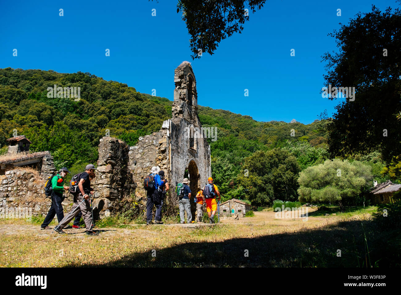 Hébergement Rural cabines La Sauceda. Parc Naturel de Los Alcornocales, Cortes de la Frontera. La province de Malaga, Andalousie, Espagne du sud Europe Banque D'Images