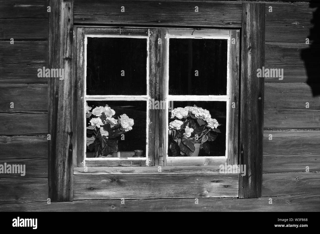 Miroir noir et blanc vue de l'extérieur d'une fenêtre d'une vieille maison en bois en Dalécarlie rural,Suède. Banque D'Images