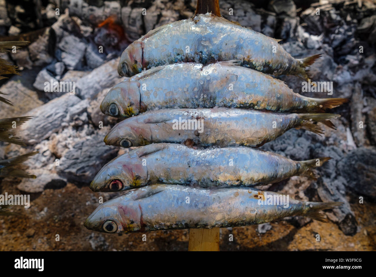 L'Espagne de brochettes. Espetos de sardines barbecueing sur feu ouvert. La province de Malaga, Costa del Sol. Andalousie, Espagne du sud Europe Banque D'Images