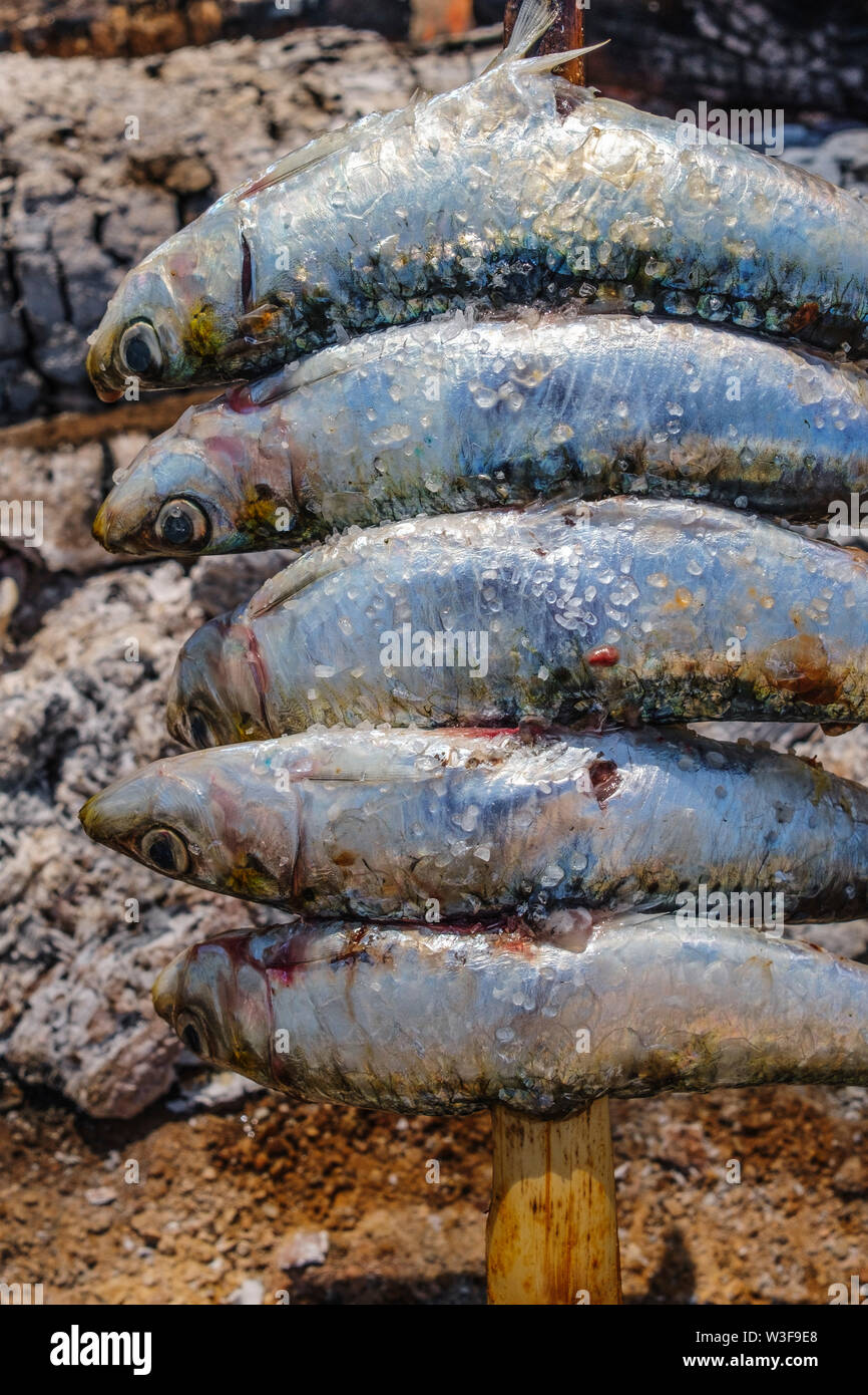 L'Espagne de brochettes. Espetos de sardines barbecueing sur feu ouvert. La province de Malaga, Costa del Sol. Andalousie, Espagne du sud Europe Banque D'Images