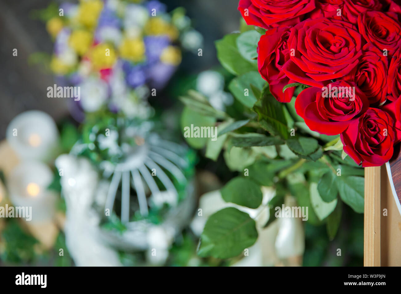 Fleurs rose rouge . Fleurs roses rouges avec valentine festival et beau bouquet flou contexte . 8 Marc . De très belles fleurs roses rouges . Soft Banque D'Images