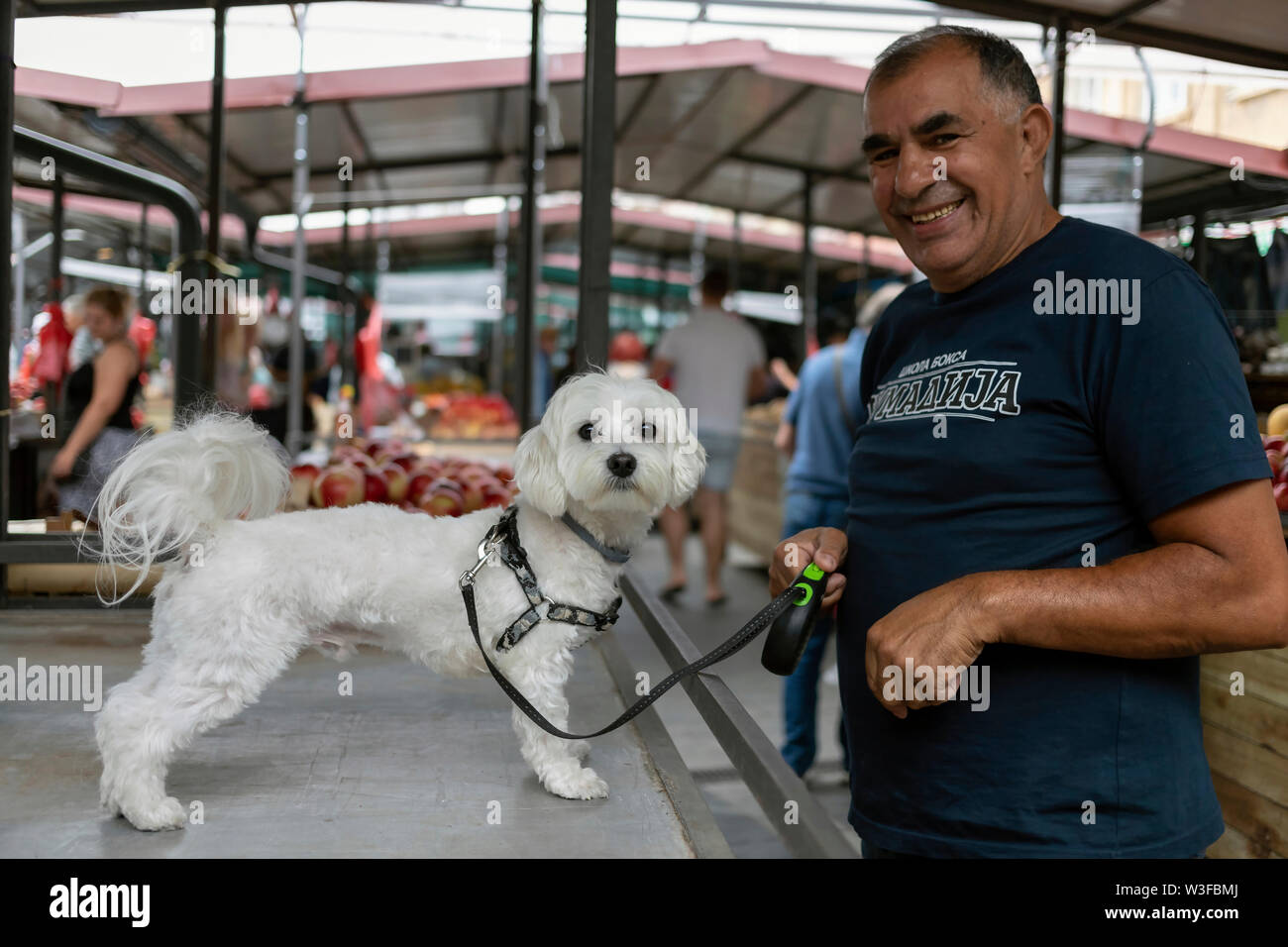 Belgrade, Serbie, 13 juillet 2019: Scène animée avec un homme souriant à côté de son chien debout sur un stand au marché vert de Zemun Banque D'Images