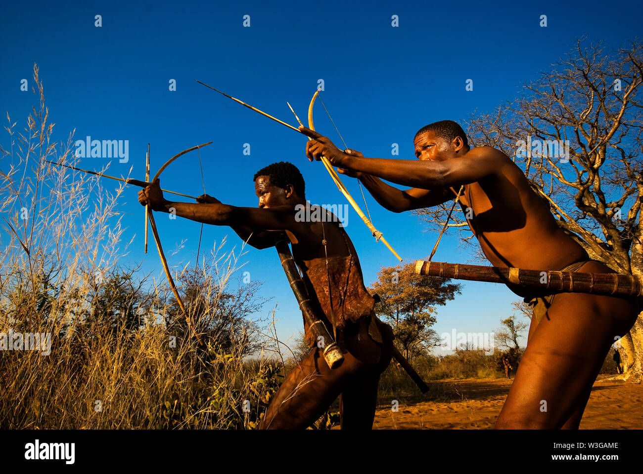 Chasseurs Bushmen avec arc et flèche simulant une chasse à Grashoek, Namibie Banque D'Images