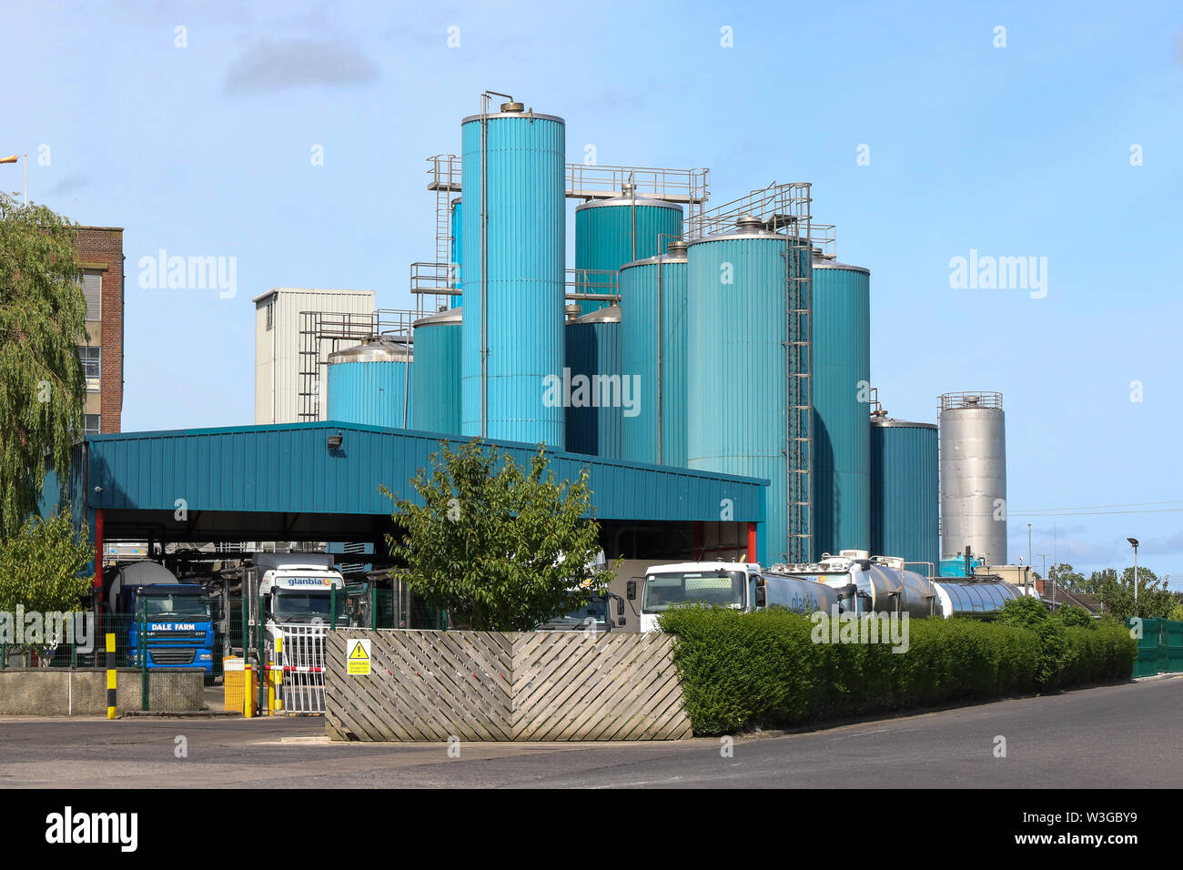 Les navires-citernes de lait à une usine de fabrication de fromage en Irlande du Nord appartenant à Glanbia. Banque D'Images