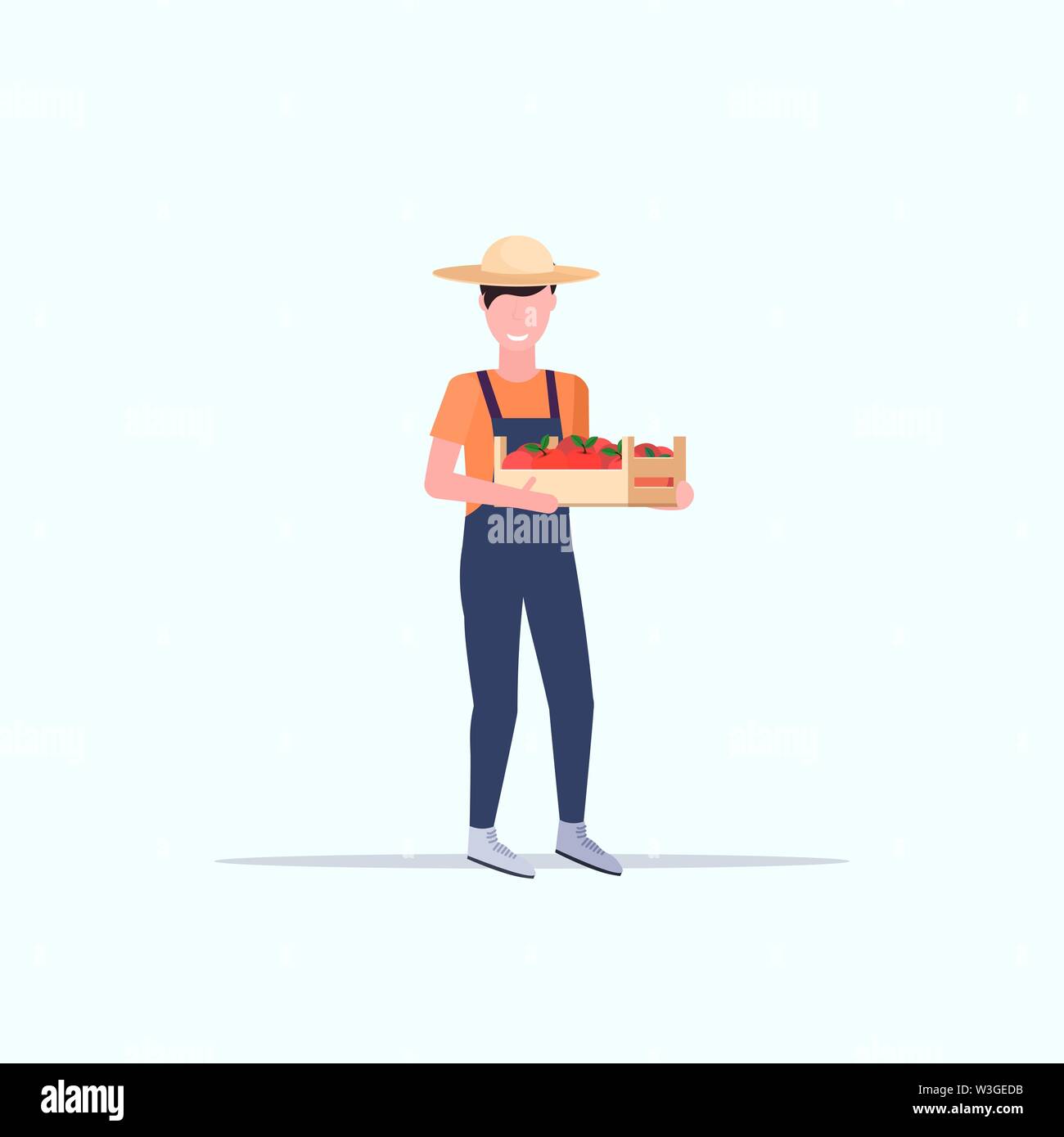 Agriculteur holding red tomates mûres fort smiling man la cueillette des légumes ouvrier agricole agriculture eco concept télévision pleine longueur Illustration de Vecteur