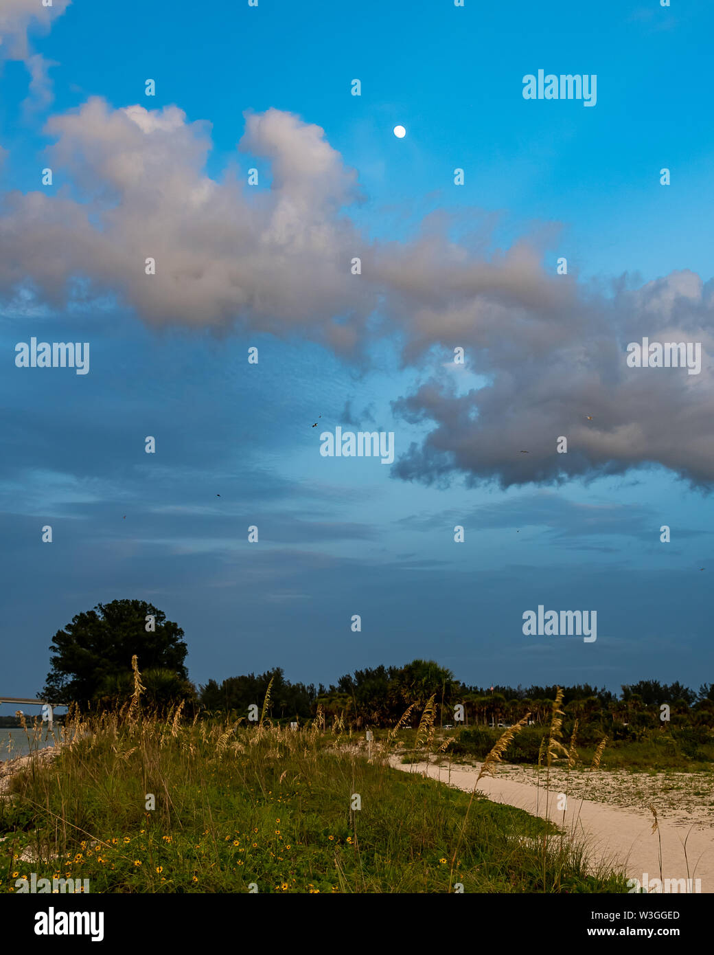 Montre la Lune au cours de la journée avec brassage de tempêtes en Floride Banque D'Images