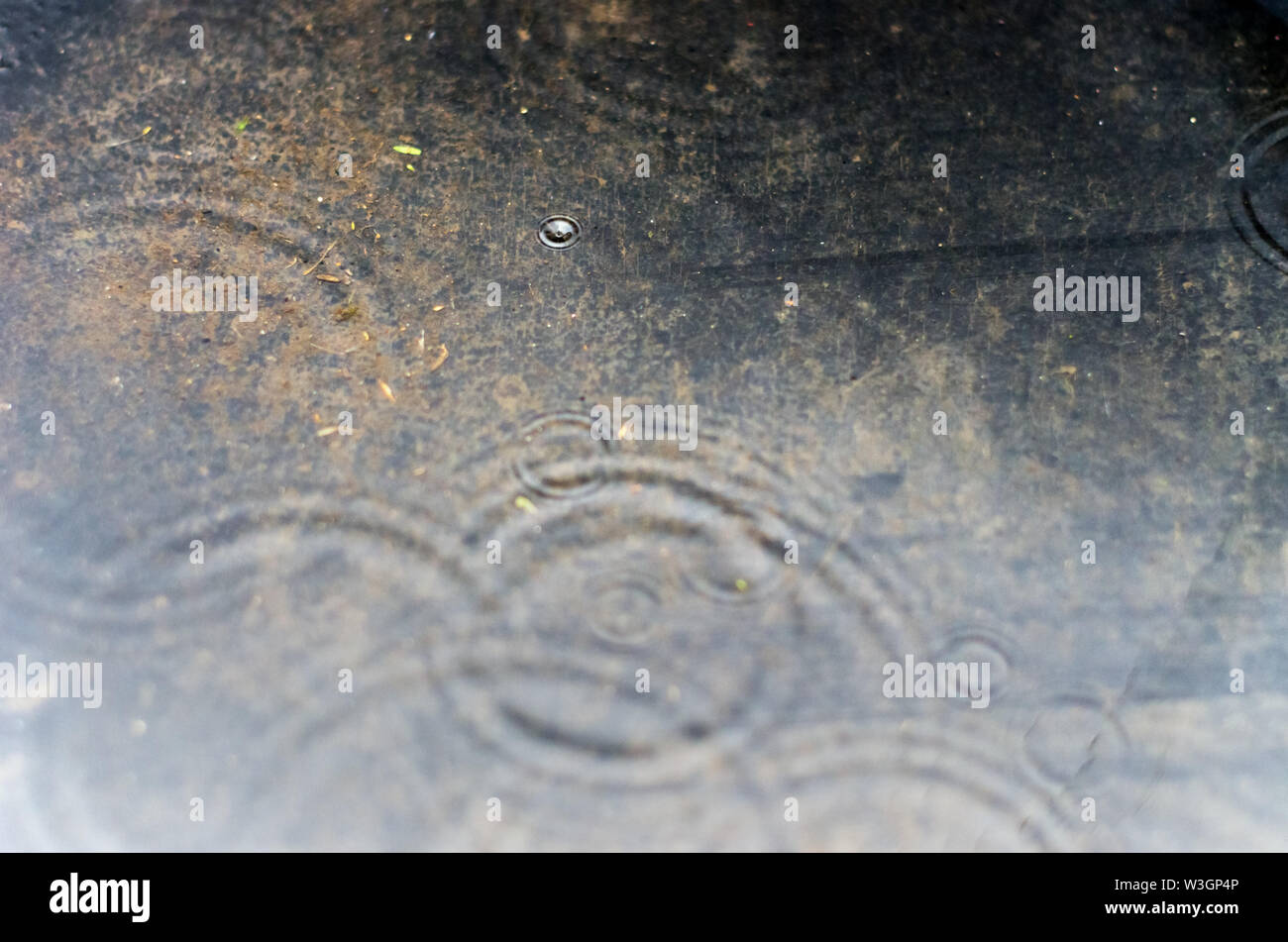 Les ondes à la surface d'une flaque d'un jour de pluie. Banque D'Images