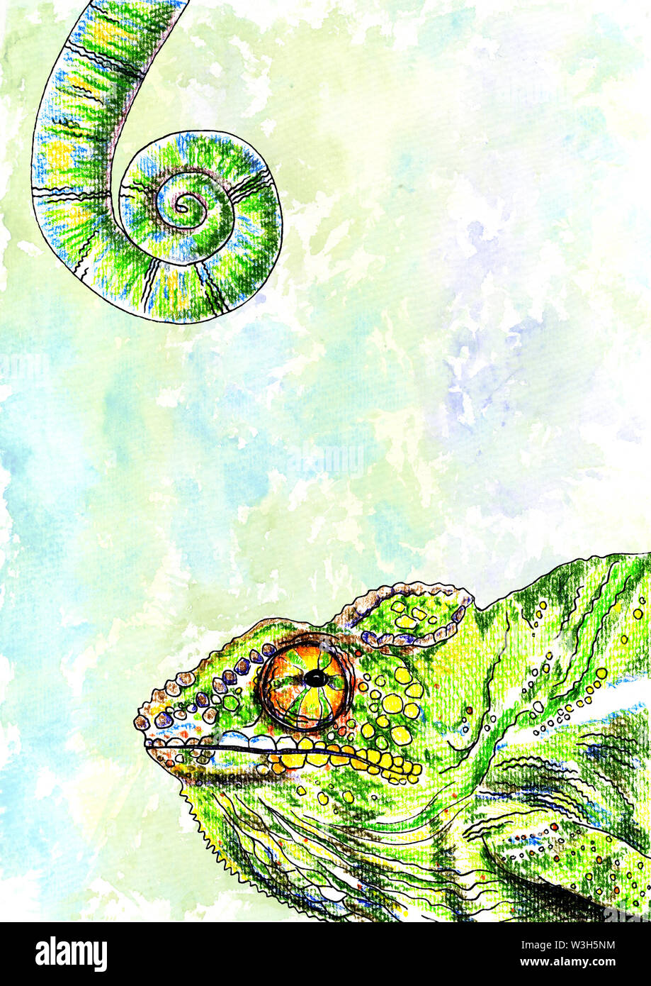 Illustration à l'aquarelle peint en caméléon. Couleur Design caméléon, caméléon, lézard couleur aquarelle Banque D'Images