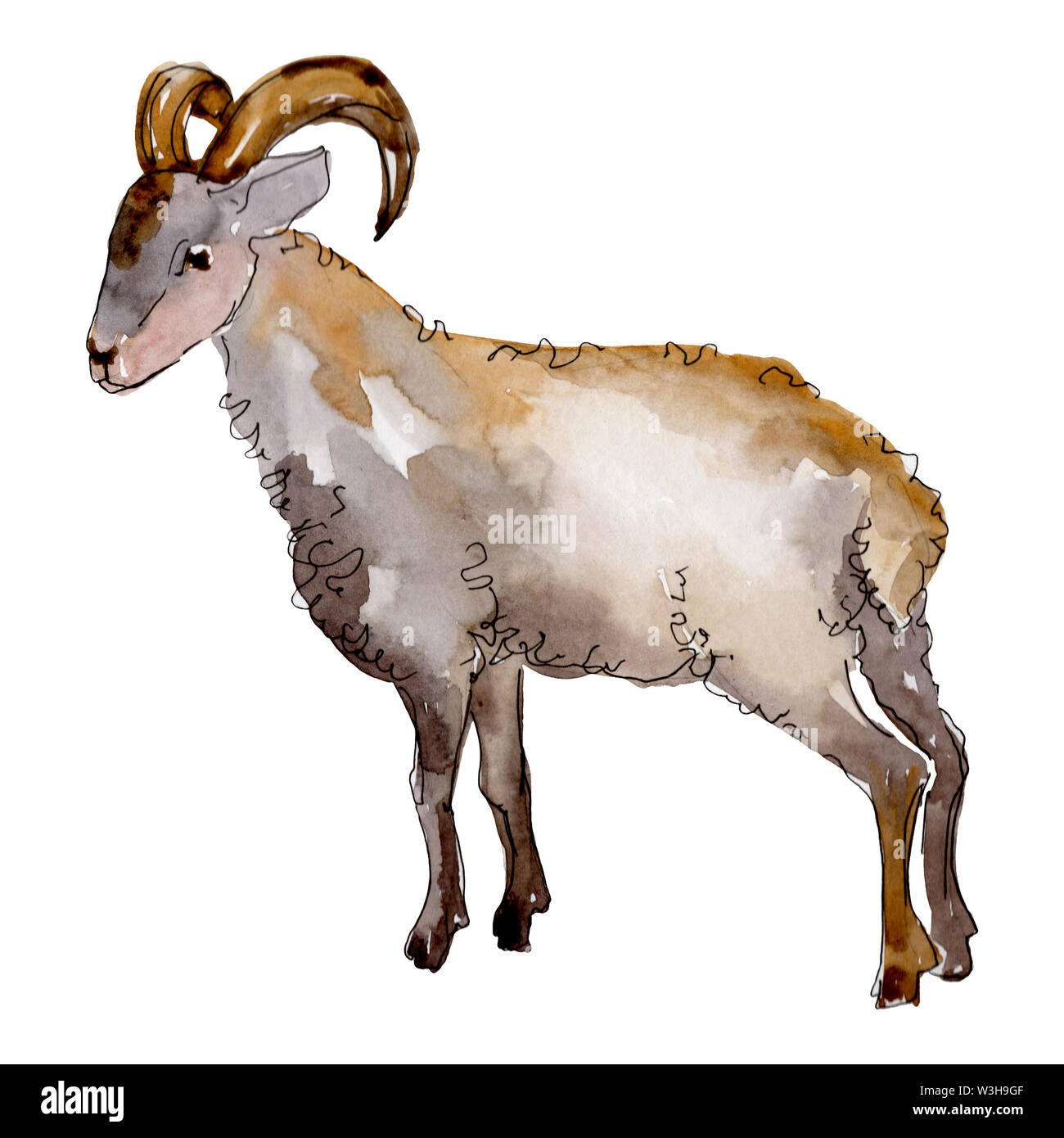 Ram farm animal isolé. Contexte aquarelle illustration set. Ram isolées de l'élément d'illustration. Banque D'Images