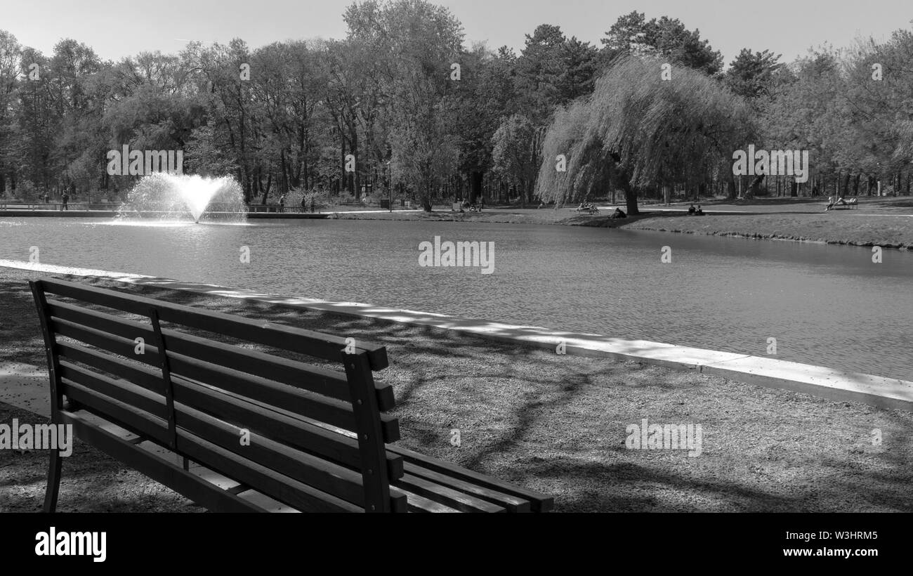 Debrecen Hongrie 0419 2019 touristes et habitants profiter du bon temps dans la grande forêt de Debrecen Park b&w Banque D'Images