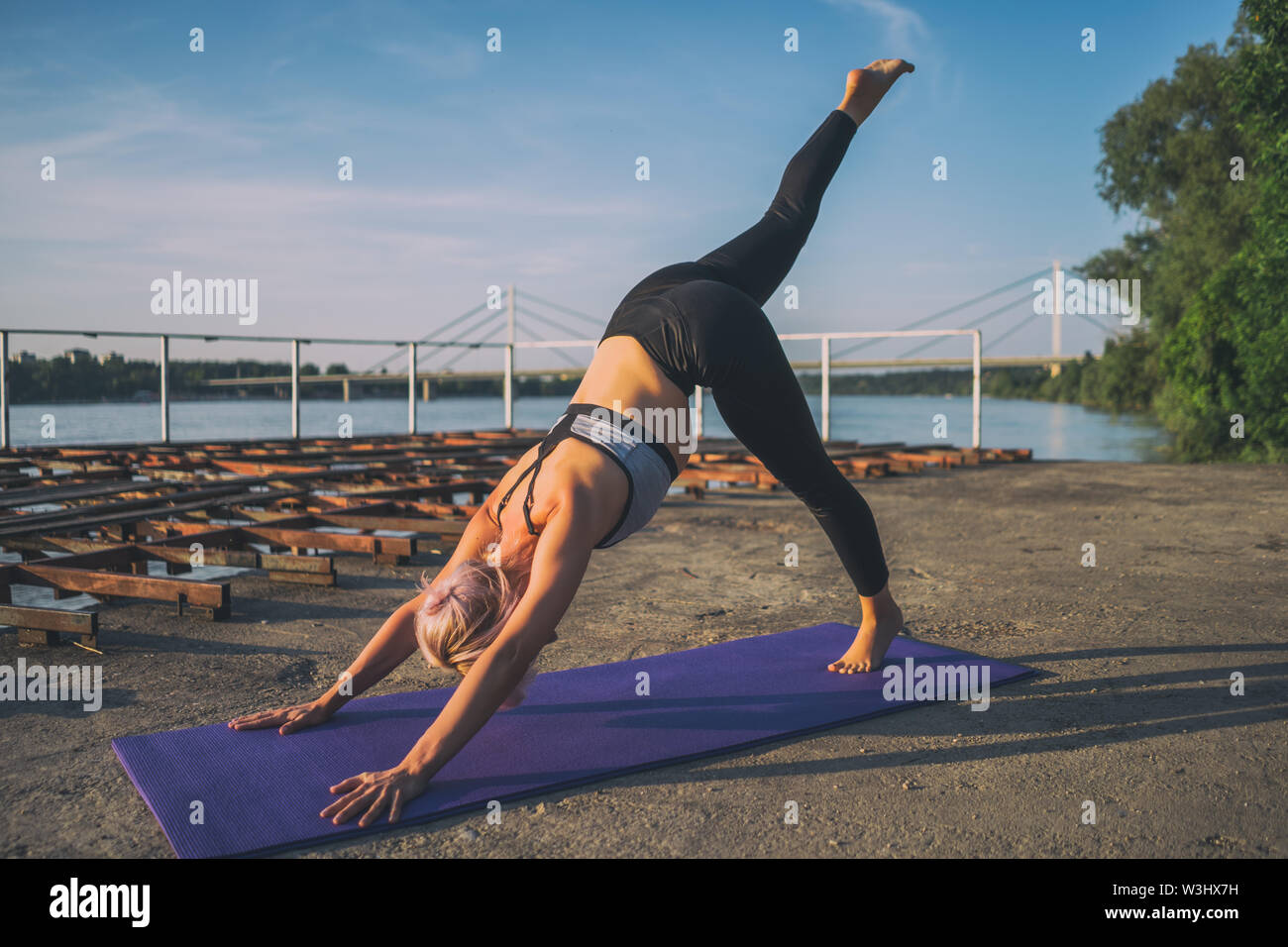 Woman practicing yoga on journée ensoleillée. Eka Pada Adho Mukha Svanasana/Downward-Facing One-Legged Pose Chien Banque D'Images