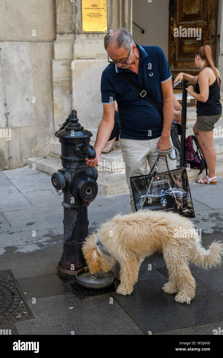 Vienne, Autriche - 19 août 2018 : une chaleur anormale dans la ville. Le propriétaire est d'arroser son chien dans les rues de Vienne. Banque D'Images