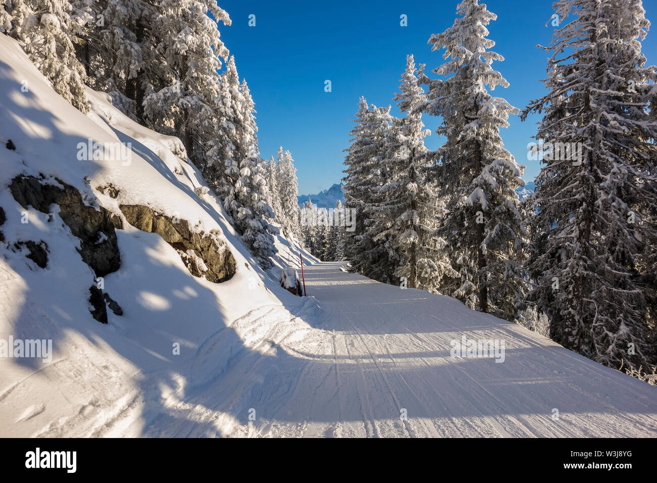 Les bois creux Skiroute Banque D'Images